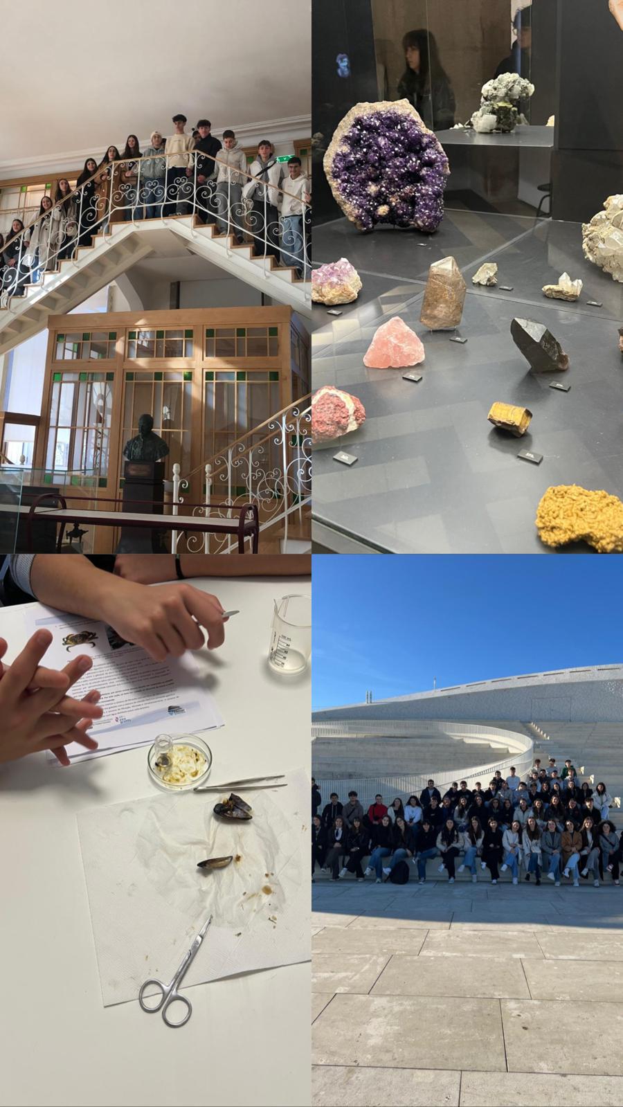 Alunos do Curso de Ciências e Tecnologias visitaram duas instituições de referência